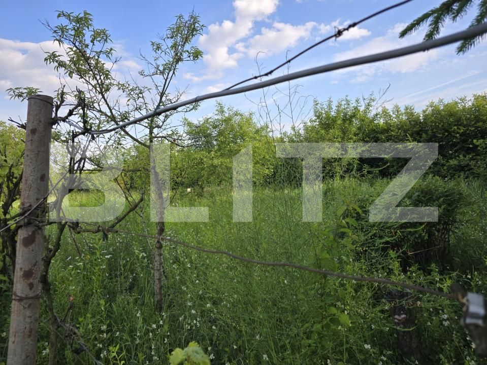 Teren de vânzare Exterior Nord - 171311TV | BLITZ Satu Mare | Poza2