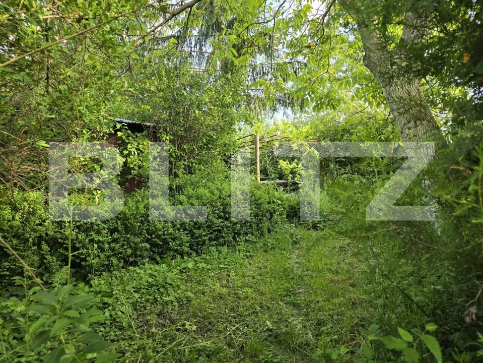 Teren de vânzare Exterior Nord - 171311TV | BLITZ Satu Mare | Poza4