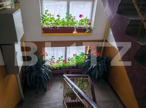 Apartament de vânzare 3 camere Botizului - 171362AV | BLITZ Satu Mare | Poza9