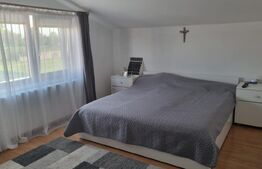 Casa moderna de vanzare in Vetis, 120 mp