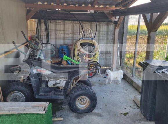 Casa de vânzare 4 camere Vetiş - 171575CV | BLITZ Satu Mare | Poza18