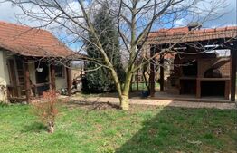 Casa, 3 camere, 693 mp teren, Lazuri