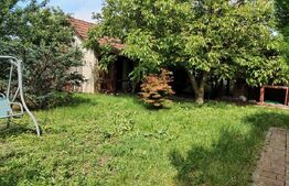 Casa, 3 camere, 693 mp teren, Lazuri