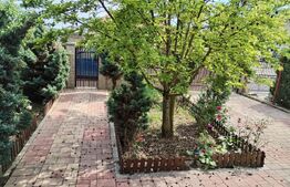 Casa, 3 camere, 693 mp teren, Lazuri