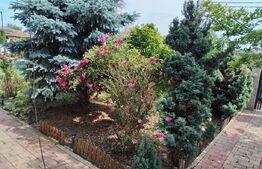 Casa, 3 camere, 693 mp teren, Lazuri