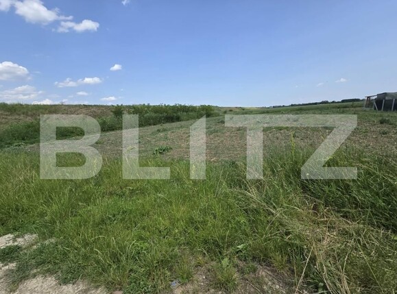 Teren de vânzare Sud - 171794TV | BLITZ Satu Mare | Poza3