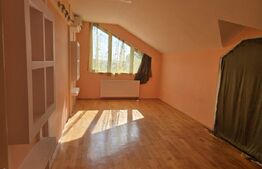 Casa  cu piscina ,7 camere, 447 mp - teren 1535mp, Vetis