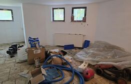 Casa  cu piscina ,7 camere, 447 mp - teren 1535mp, Vetis