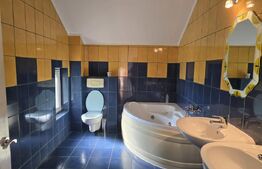 Casa  cu piscina ,7 camere, 447 mp - teren 1535mp, Vetis