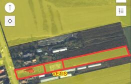 Casa  cu piscina ,7 camere, 447 mp - teren 1535mp, Vetis