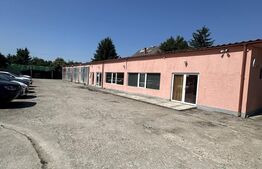 Spălătorie auto 4 boxe si fast food,800 mp teren