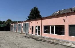 Spălătorie auto 4 boxe si fast food,800 mp teren