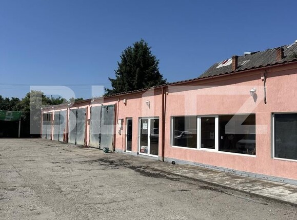 Spațiu industrial de vânzare Aurel Vlaicu - 172338SVI | BLITZ Satu Mare | Poza2