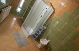 Casa tip P+M,4 camere,240mp,zona Aurel Vlaicu
