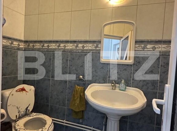 Casa de vânzare 4 camere Aurel Vlaicu - 172341CV | BLITZ Satu Mare | Poza17