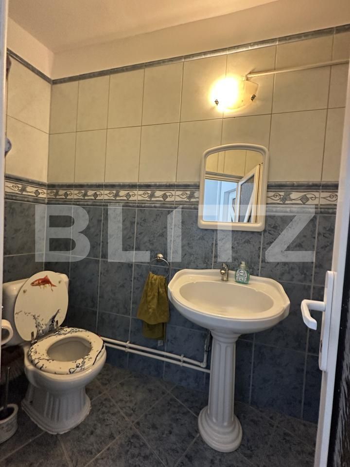 Casa de vânzare 4 camere Aurel Vlaicu - 172341CV | BLITZ Satu Mare | Poza17