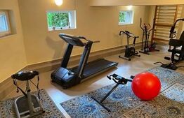 Casa 8 camere 400 mp, 14450 mp Teren - Paulesti