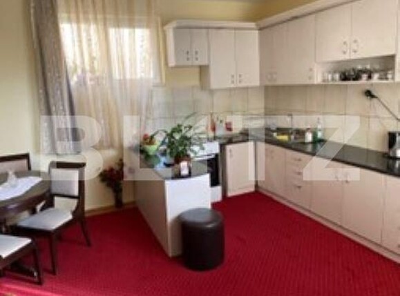 Casa de vânzare 8 camere Exterior Nord - 172725CV | BLITZ Satu Mare | Poza9