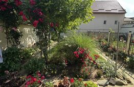 Casa P+2, 240 mp, 300 mp teren, zona Titulescu