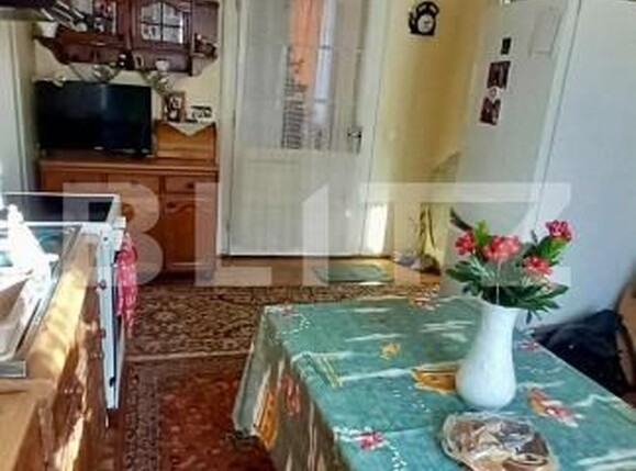 Casa de vânzare 2 camere Titulescu - 173011CV | BLITZ Satu Mare | Poza3