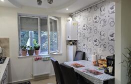 Apartament de vanzare, cu 2 camere, 55 mp, zona Careiului