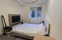 Apartament de vanzare, cu 2 camere, 55 mp, zona Careiului