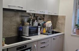 Apartament de vanzare, cu 2 camere, 55 mp, zona Careiului