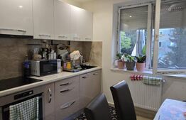 Apartament de vanzare, cu 2 camere, 55 mp, zona Careiului