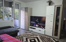 Apartament de vanzare, cu 2 camere, 55 mp, zona Careiului