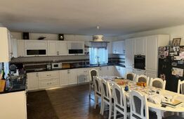 Casa 7 camere, 400 mp, 1200 mp Terem - Odoreu