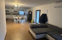 Vila la cheie, 1200 mp, Odoreu