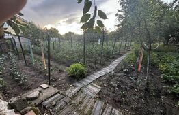 Casă de vanzare, 58 mp utili, 258 mp teren, zona Lucian Blaga