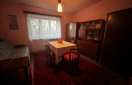 Casă de vanzare, 58 mp utili, 258 mp teren, zona Lucian Blaga