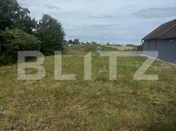 Teren de vânzare Lucian Blaga - 173265TV | BLITZ Satu Mare | Poza1