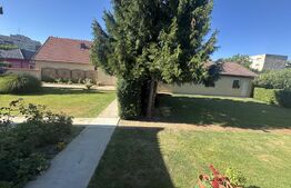 Casa plan parter 170 mp,1000 mp teren, zona Micro 17