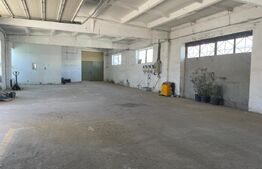 Hala industriala 1300mp / 2350 teren . Vetis