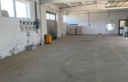 Hala industriala 1300mp / 2350 teren . Vetis