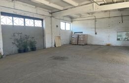 Hala industriala 1300mp / 2350 teren . Vetis
