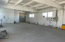 Hala industriala 1300mp / 2350 teren . Vetis