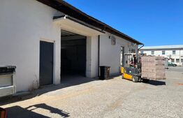 Hala industriala 1300mp / 2350 teren . Vetis