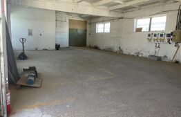 Hala industriala 1300mp / 2350 teren . Vetis