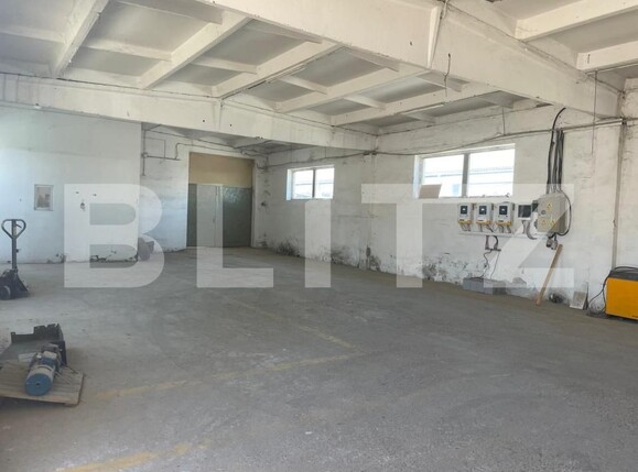 Spațiu industrial de vânzare Vetiş - 173391SVI | BLITZ Satu Mare | Poza6