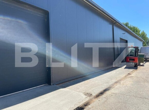 Spațiu industrial de vânzare Vetiş - 173391SVI | BLITZ Satu Mare | Poza3