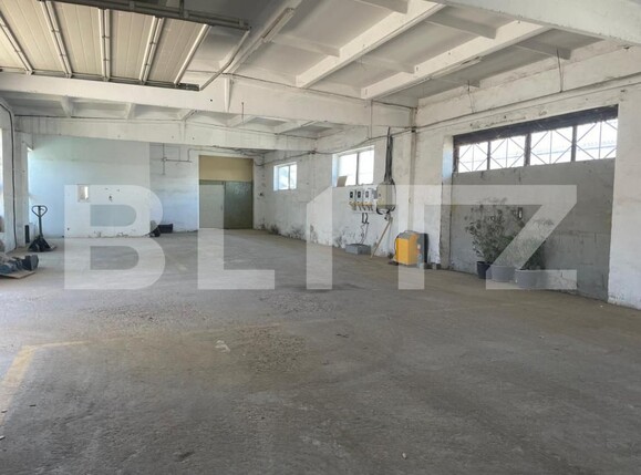 Spațiu industrial de vânzare Vetiş - 173391SVI | BLITZ Satu Mare | Poza9