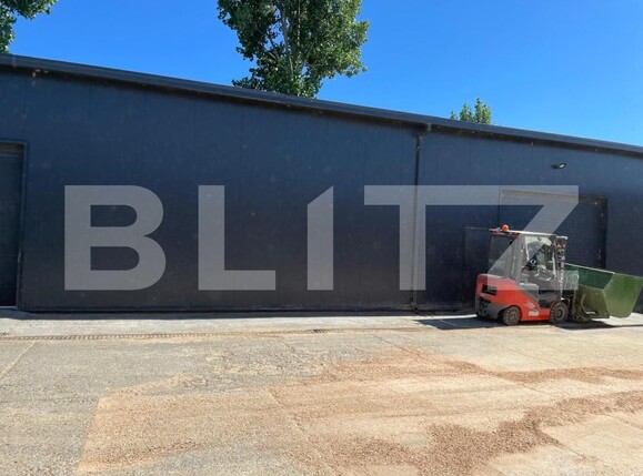 Spațiu industrial de vânzare Vetiş - 173391SVI | BLITZ Satu Mare | Poza4