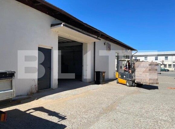 Spațiu industrial de vânzare Vetiş - 173391SVI | BLITZ Satu Mare | Poza5
