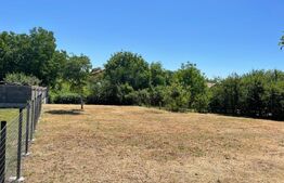 Teren intravilan, de vanzare, 655 mp, zona Bercu Rosu