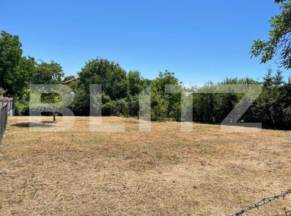 Teren de vânzare Bercu Rosu - 173423TV | BLITZ Satu Mare | Poza2