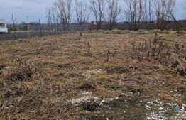 Teren extravilan agricol, de vanzare, 450 mp, zona Balta Blonda