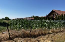 Teren extravilan de vanzare, 1267 mp, zona Draexlmaier
